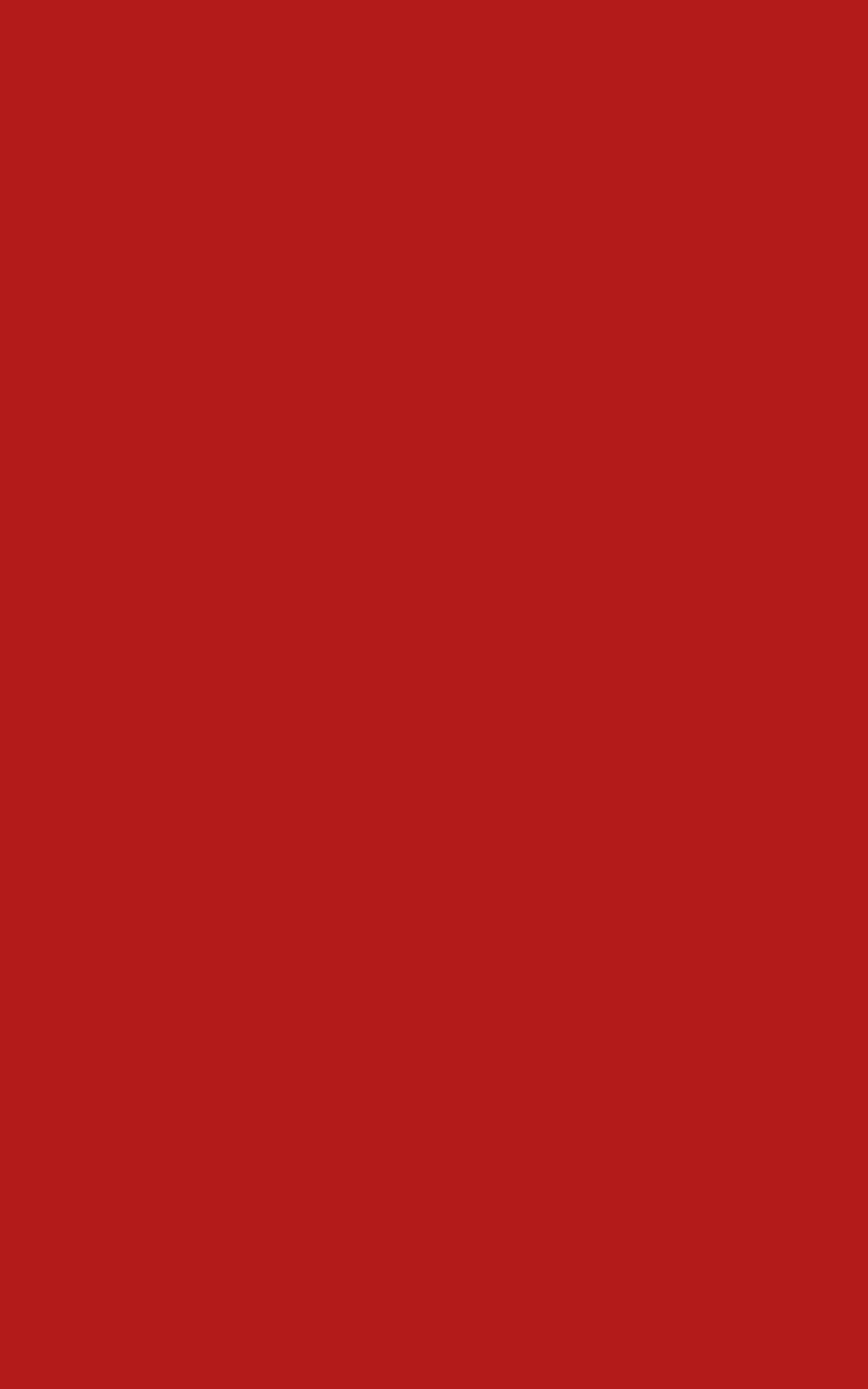 1600x2560 Red Technology Wallpaper