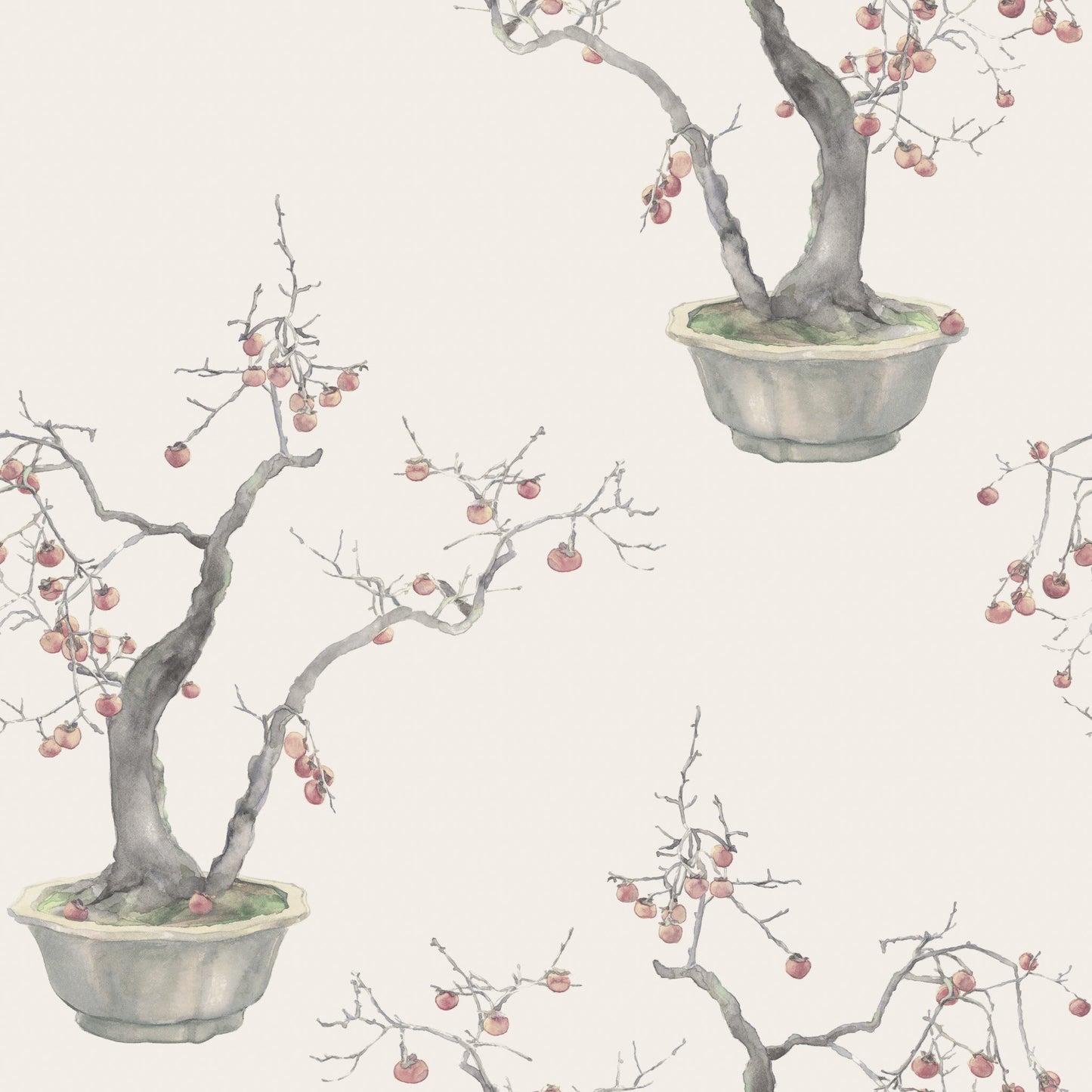 1445x1445 Kaki Persimmon Wallpaper & Son