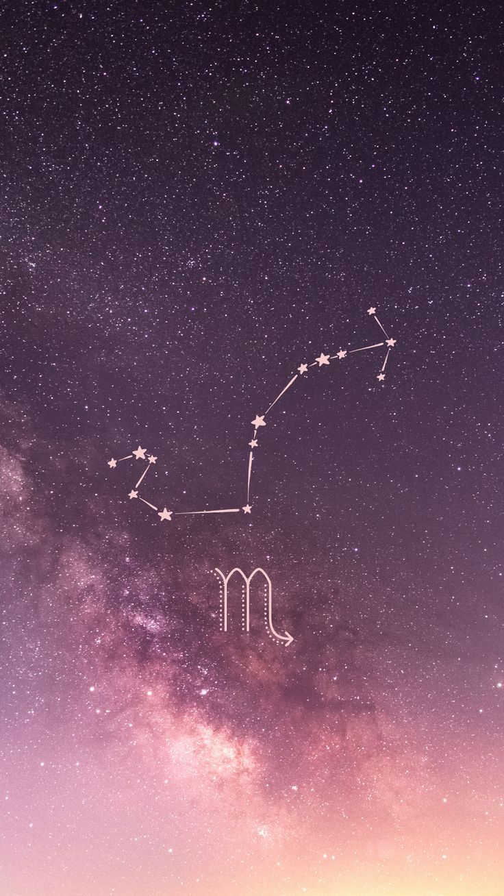 736x1308 Scorpio astrology aesthetic wallpaper