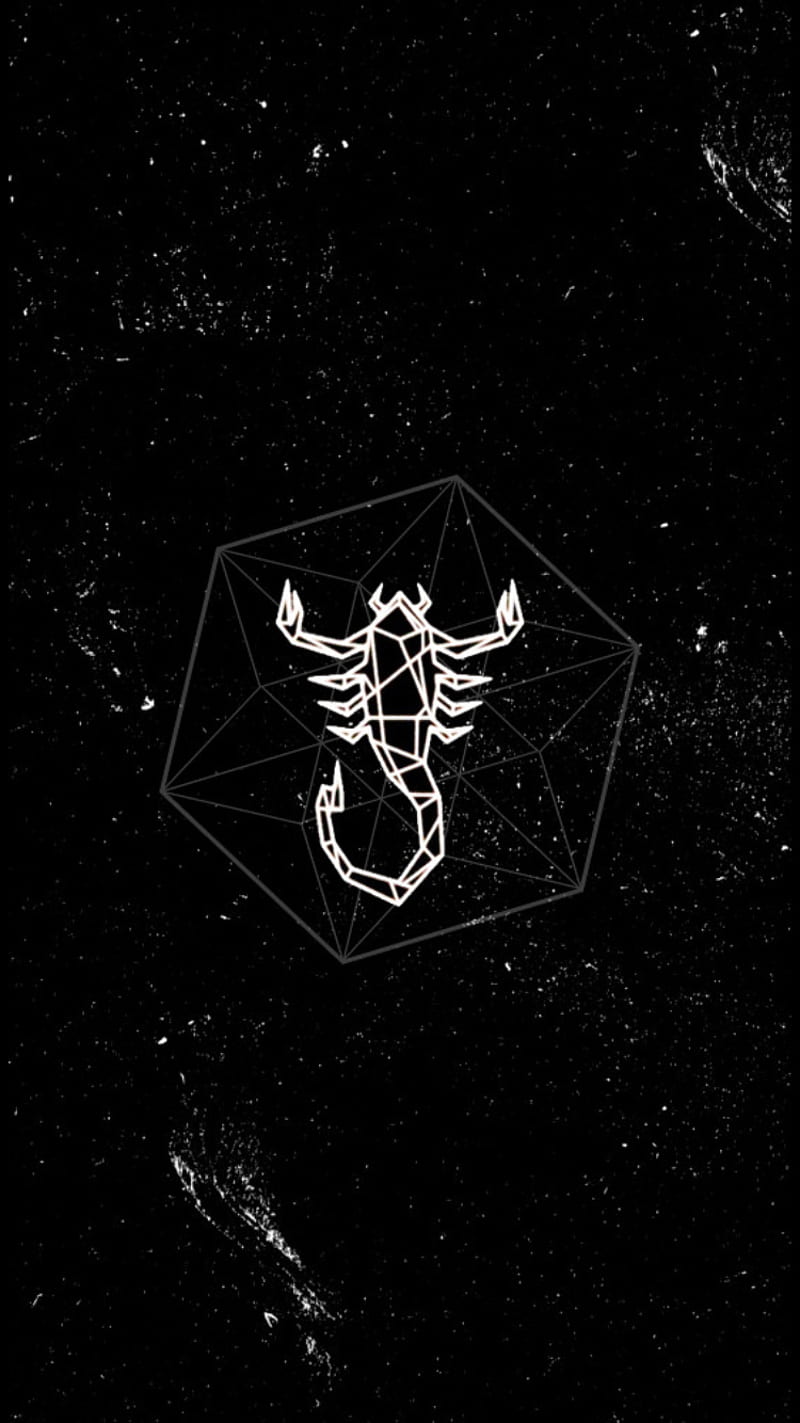 800x1423 Scorpio Sign, bulls, zodiac, chicago, space, sword, universe, new, wind, theme, HD phone wallpaper