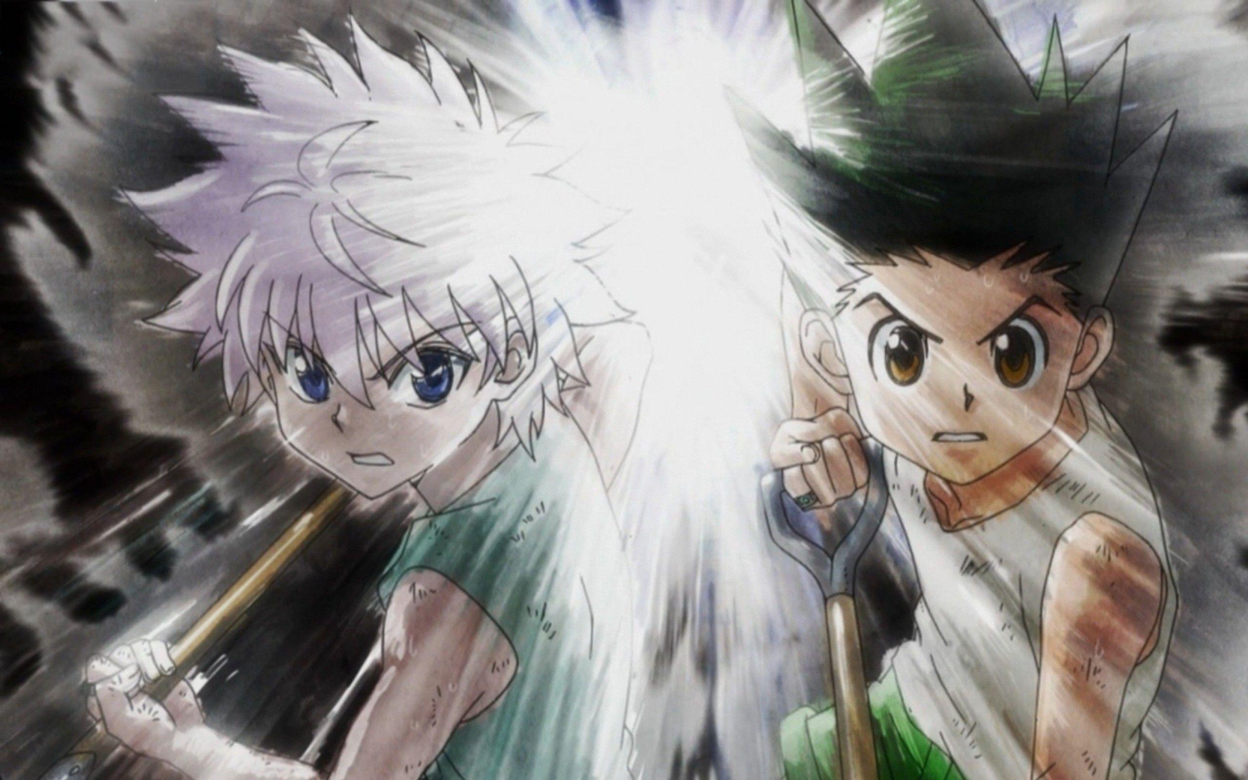 2560x1600 Anime Hunter X Hunter Killua Zoldyck Gon Freecss Wallpaper Killua Wallpaper HD HD Wallpaper