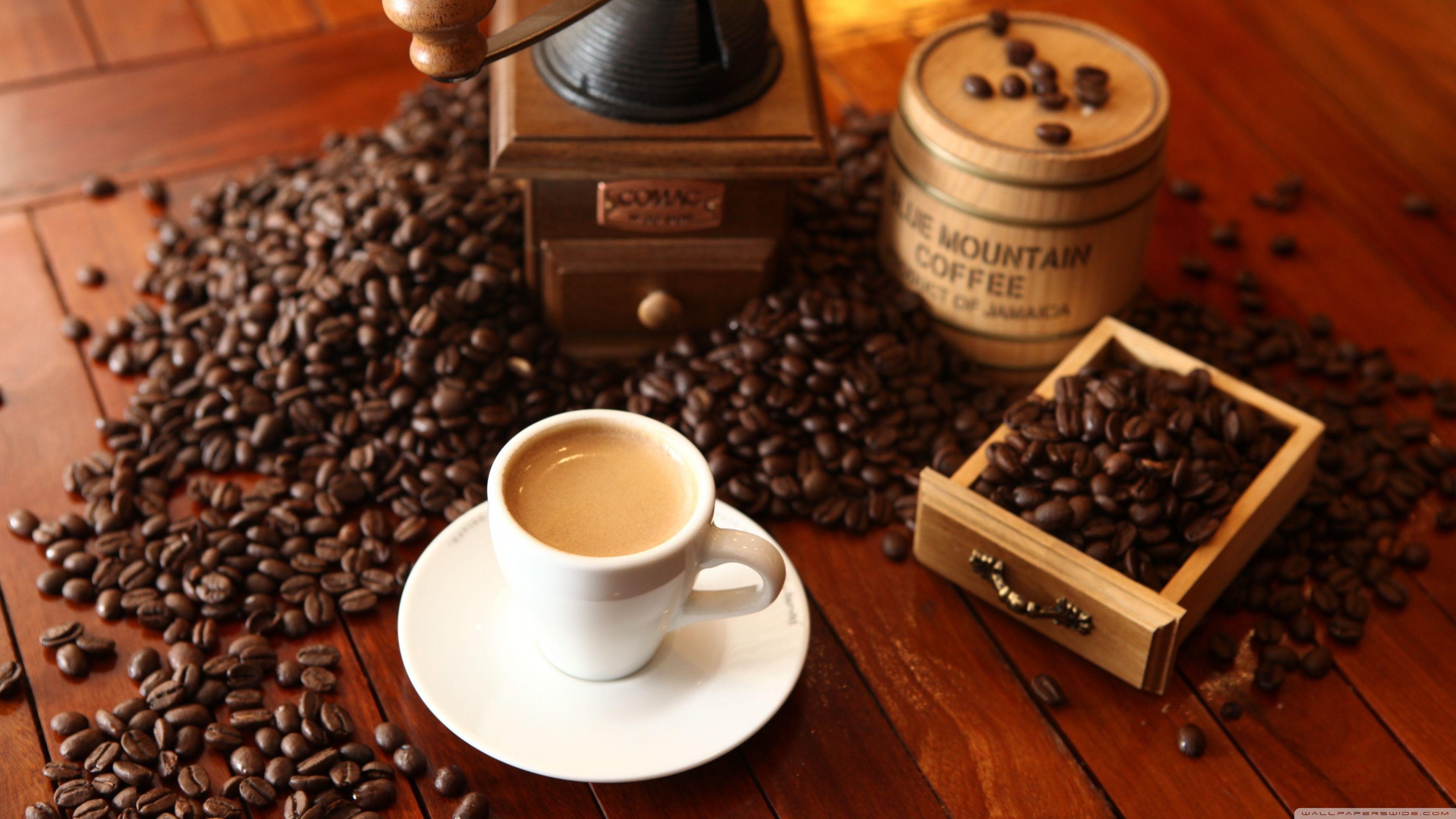 3554x1999 Coffee House HDR Ultra HD Desktop Background Wallpaper for 4K UHD TV : Widescreen & UltraWide Desktop & Laptop : Tablet