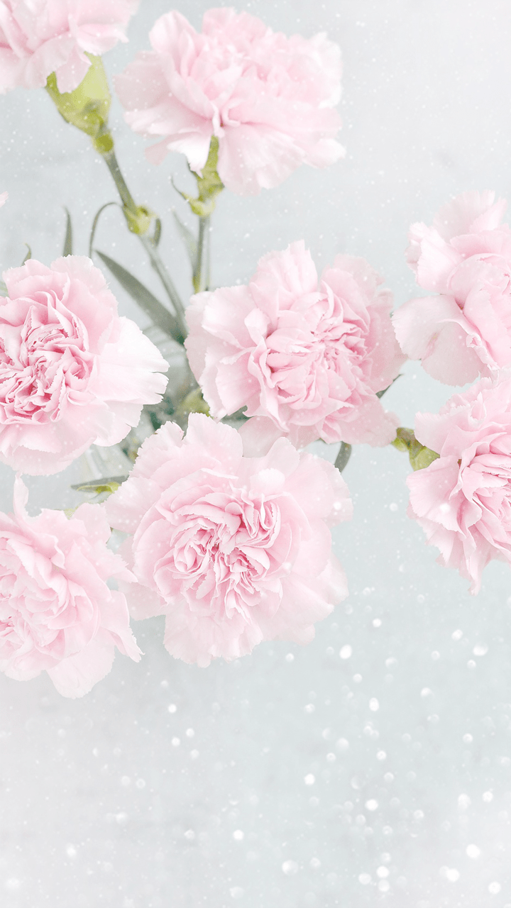 720x1280 WALLPAPERS (Search results for: sparkle). Pink flowers wallpaper, Beautiful flowers wallpaper, Flower phone wallpaper