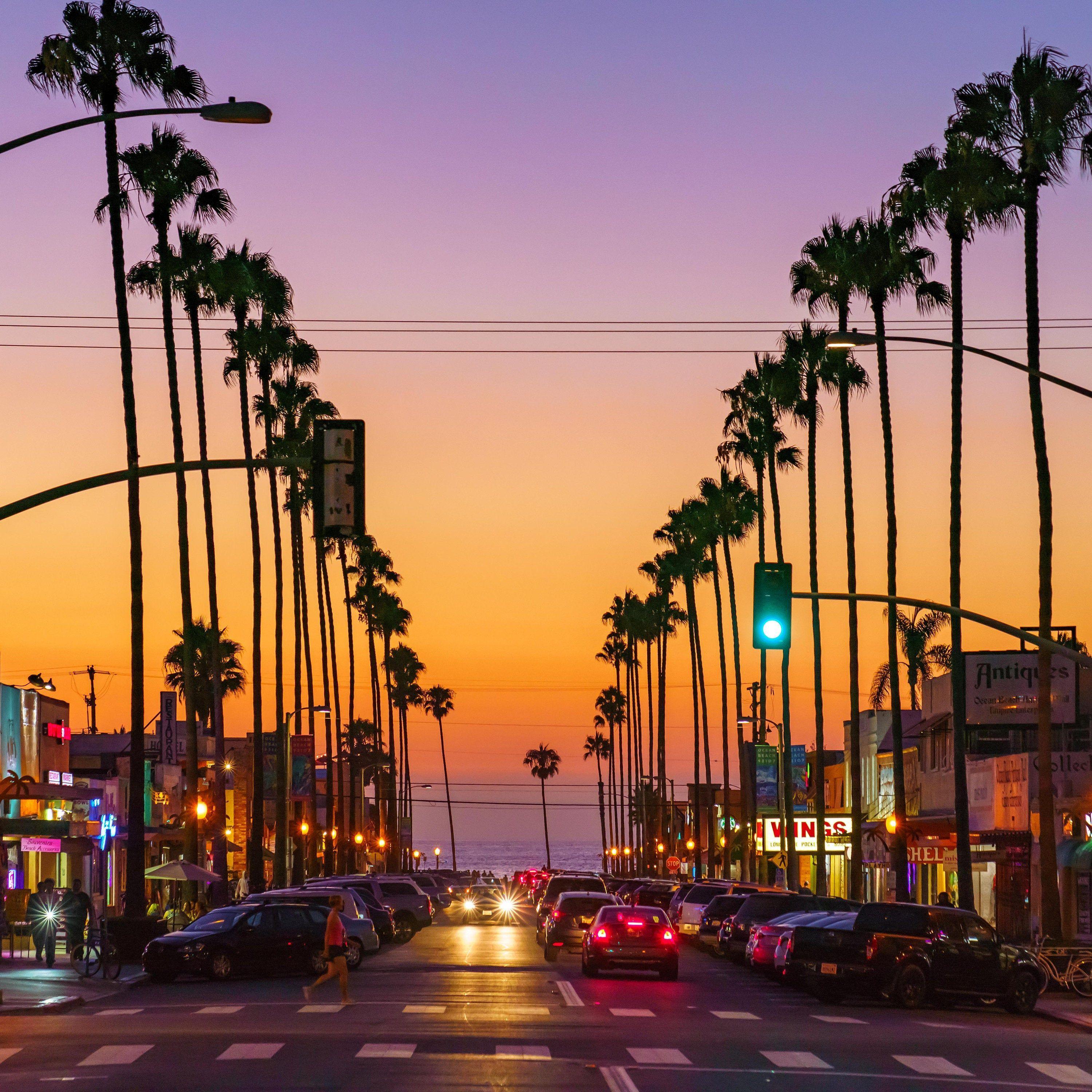 Wallpaper 4k usa san diego california trees palms night pavement hdr  4k Wallpaper