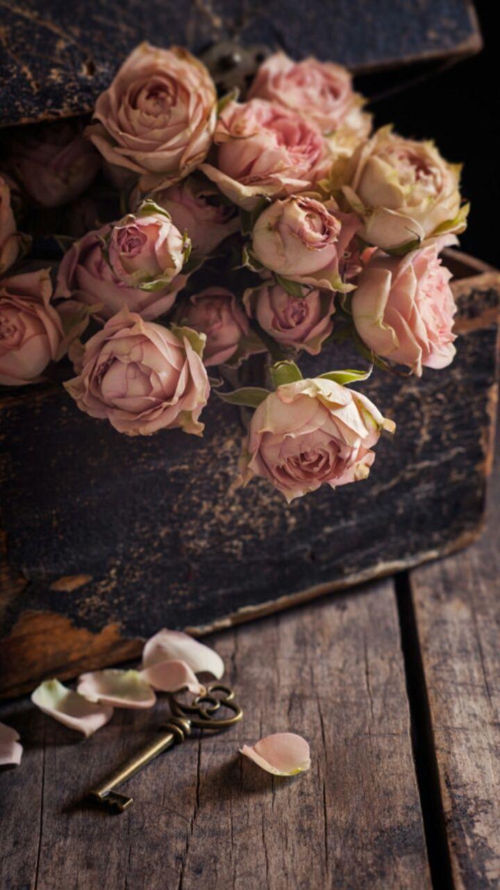 720x1280 art, background, beautiful, beauty, colorful, design, flowers, inspiration, lady, leaves, light, luxury, nature, pastel, photography, pink roses, soft, still life, style, vintage, wallpaper, we heart it, pastel flowers, pastel color, beauty flowers