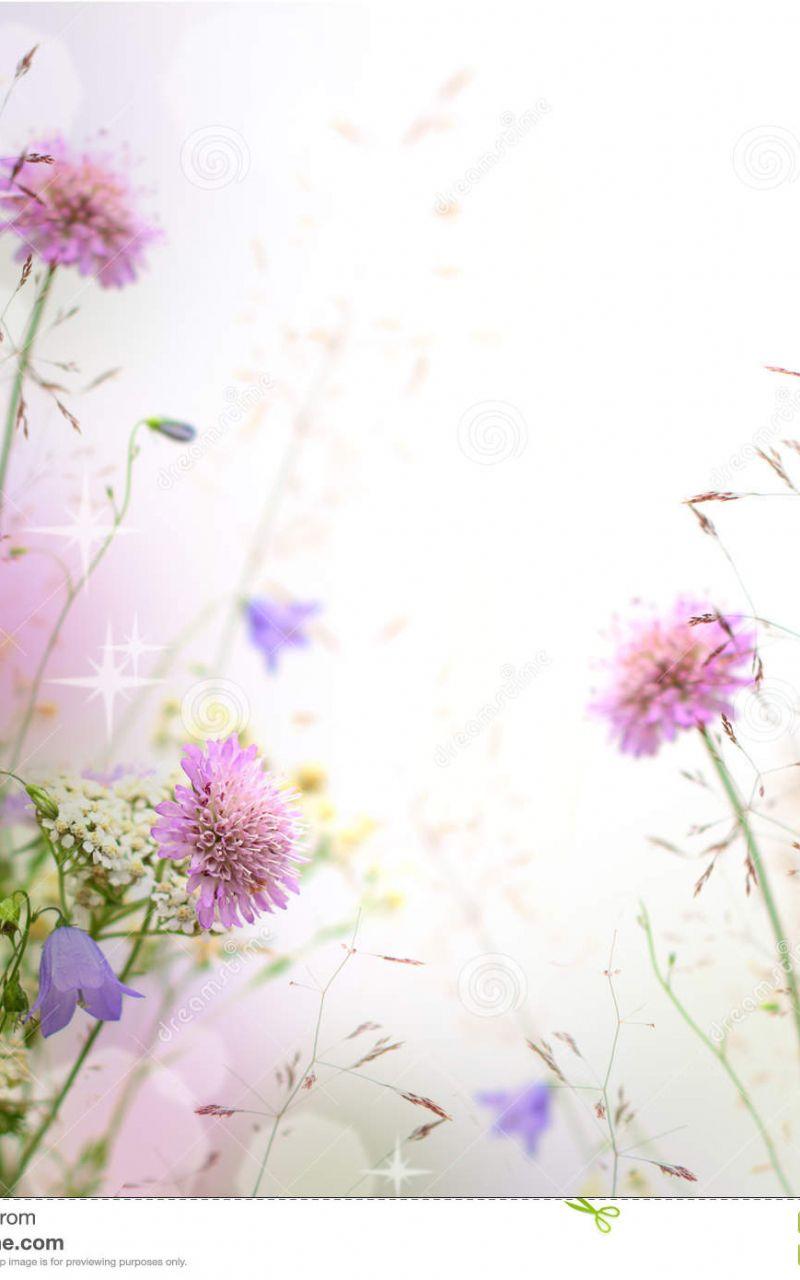 800x1280 Free download compastelpastel purple rose flowers floral wallpaper border newhtm [1300x1390] for your Desktop, Mobile & Tablet. Explore Pastel Wallpaper Border. Pastel Floral Wallpaper, Pastel Blue Wallpaper, Pastel Wallpaper Designs