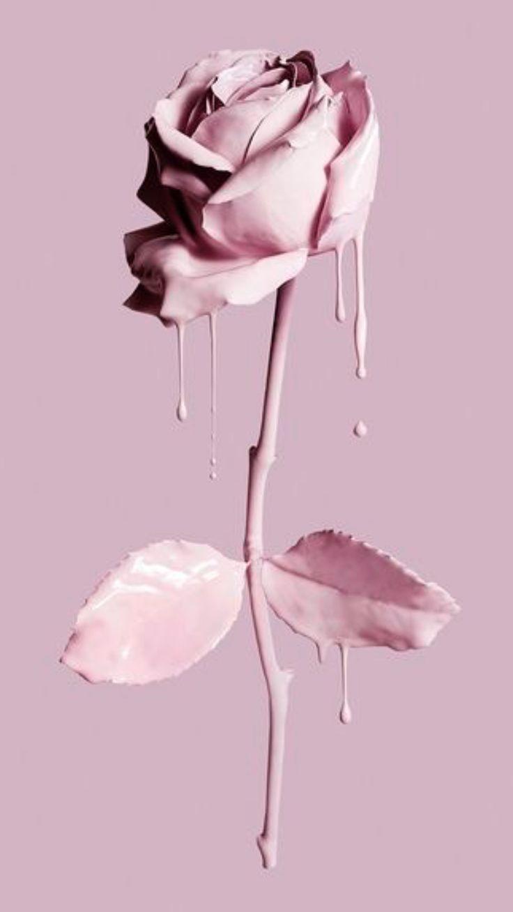 736x1308 Wallpaper iPhone Pastel Rose Gold Cute Flowers
