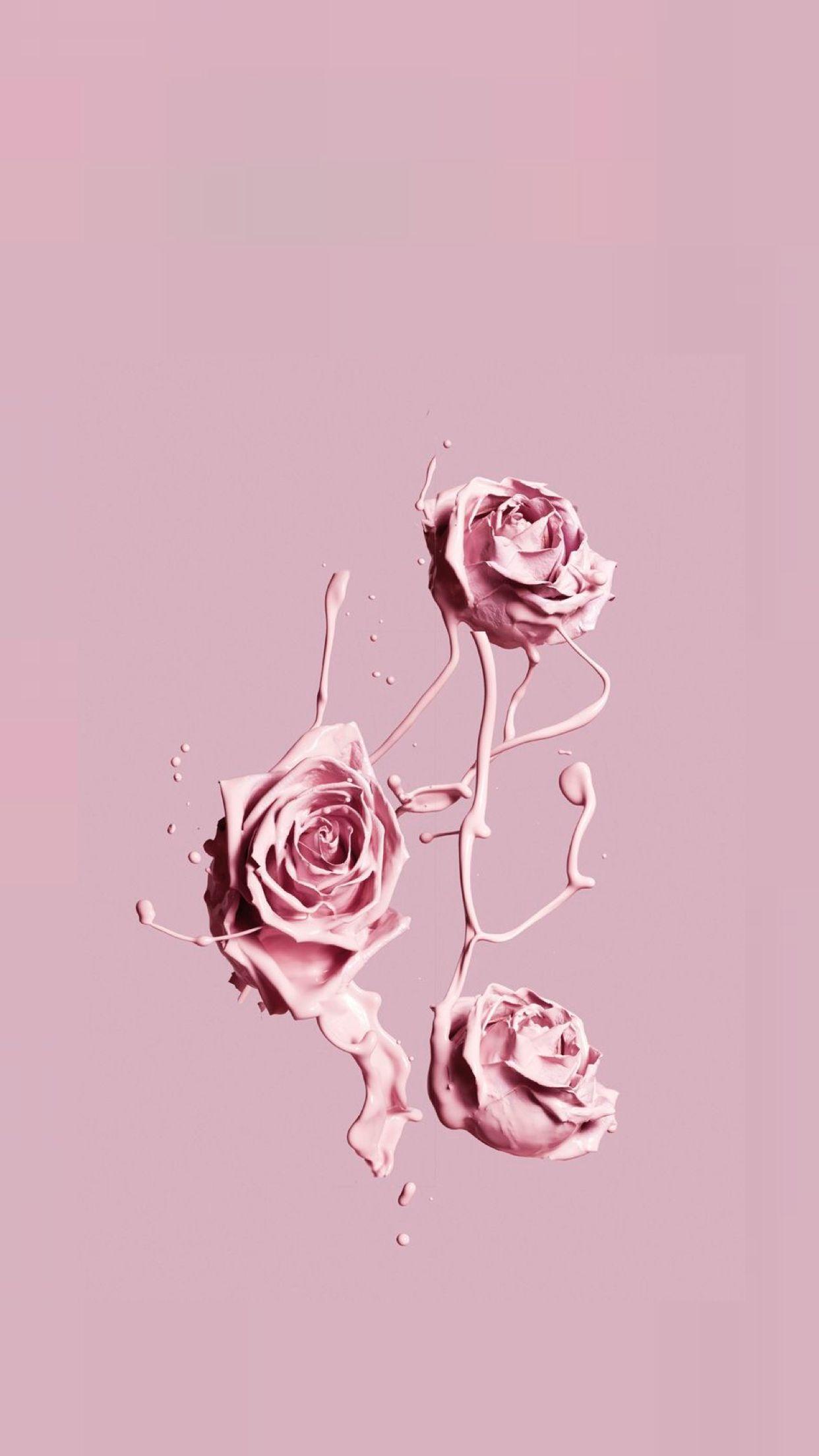 1242x2208 Pink Roses Aesthetic Wallpaper