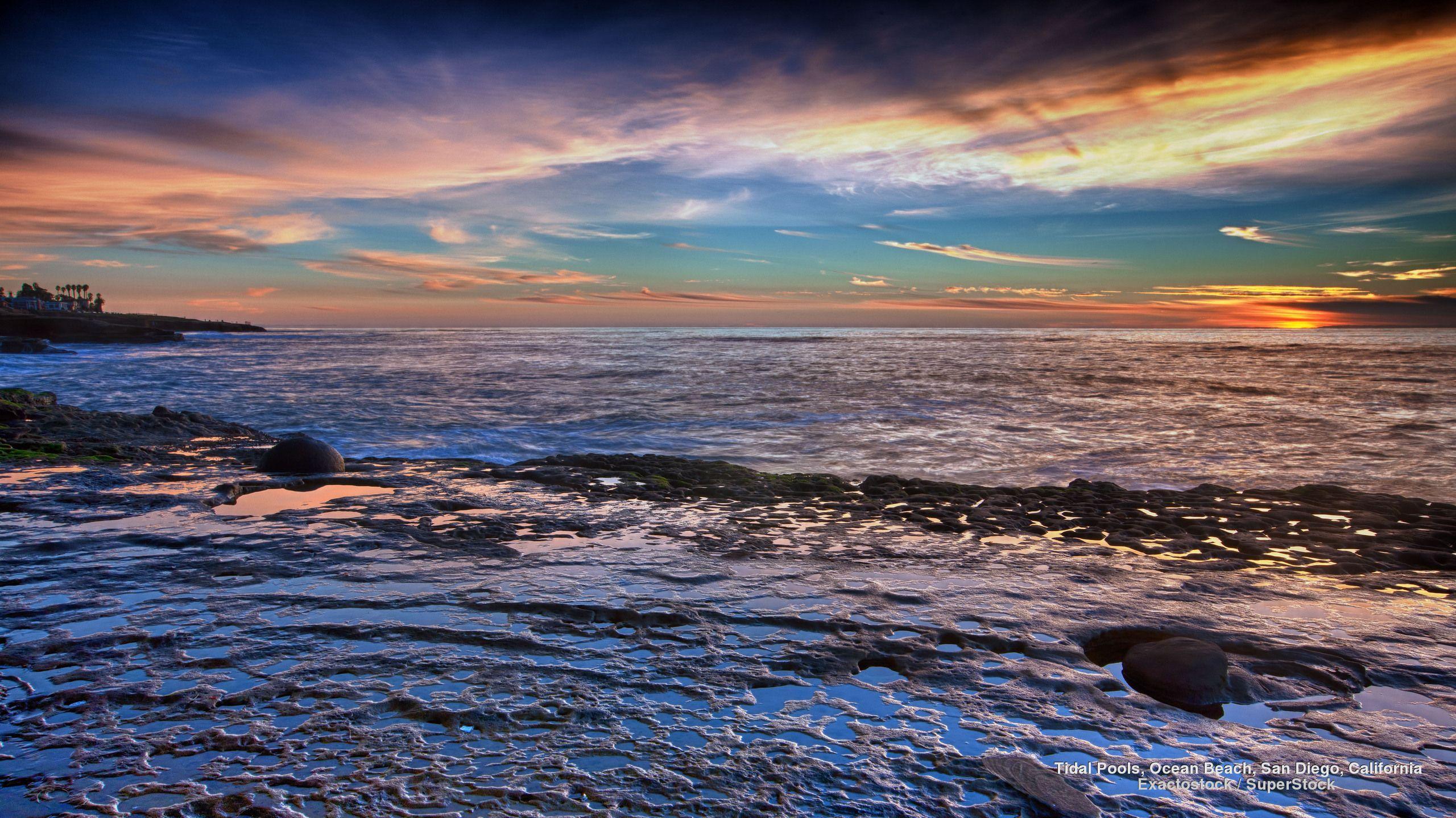 2560x1440 Tidal Pools, Ocean Beach, San Diego, California. Beach wallpaper, Tidal pool, Ocean beach san diego