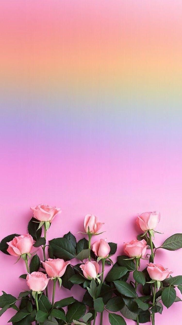 750x1334 Roses. Flower phone wallpaper, Pink flowers wallpaper, Flower background wallpaper
