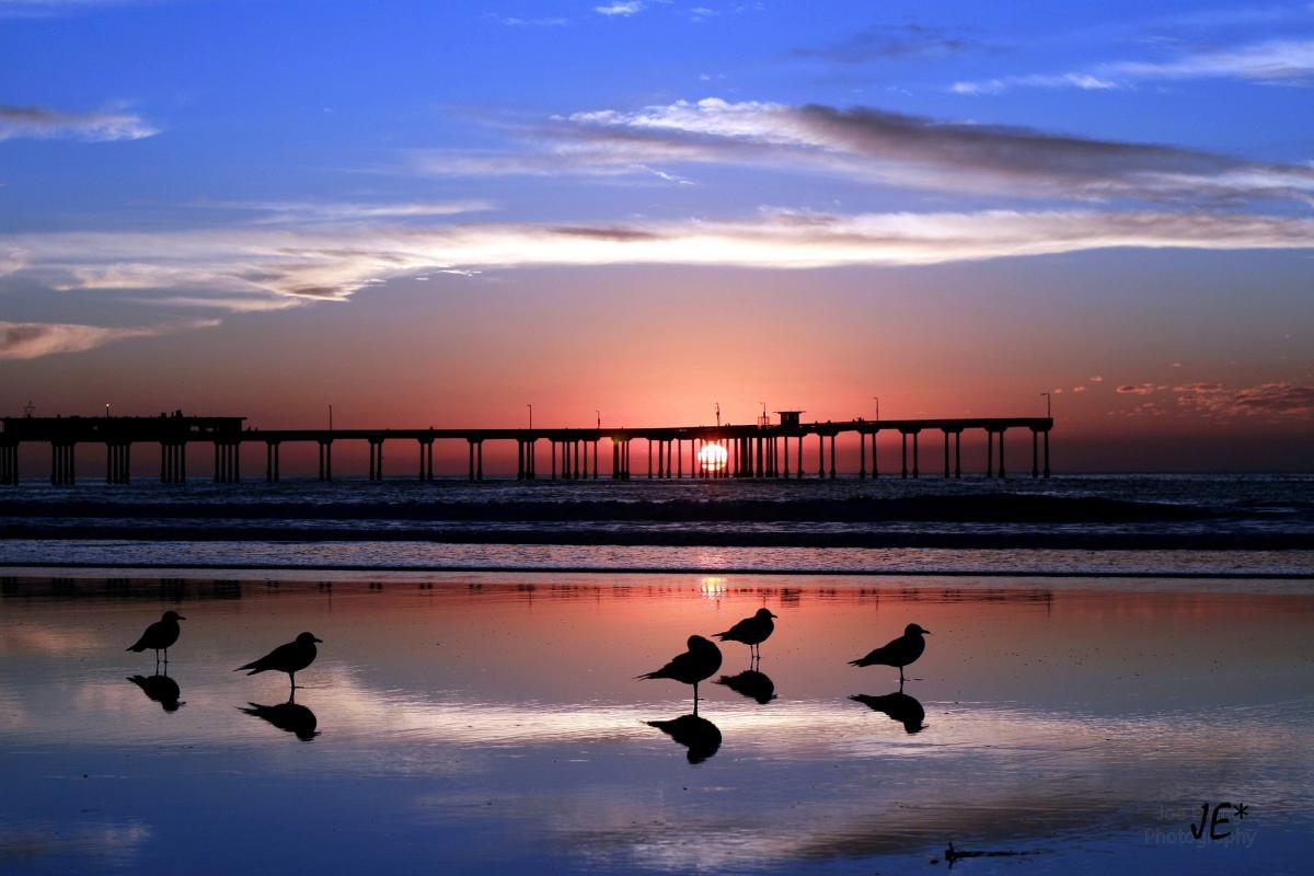 1200x800 San Diego Fly Rides
