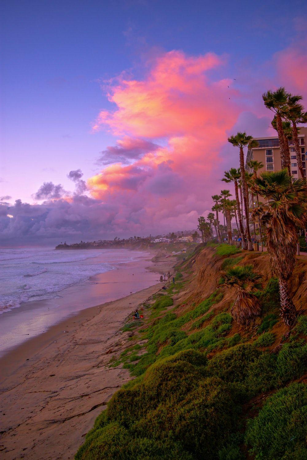 1000x1498 Pacific Beach Picture. Download Free Image