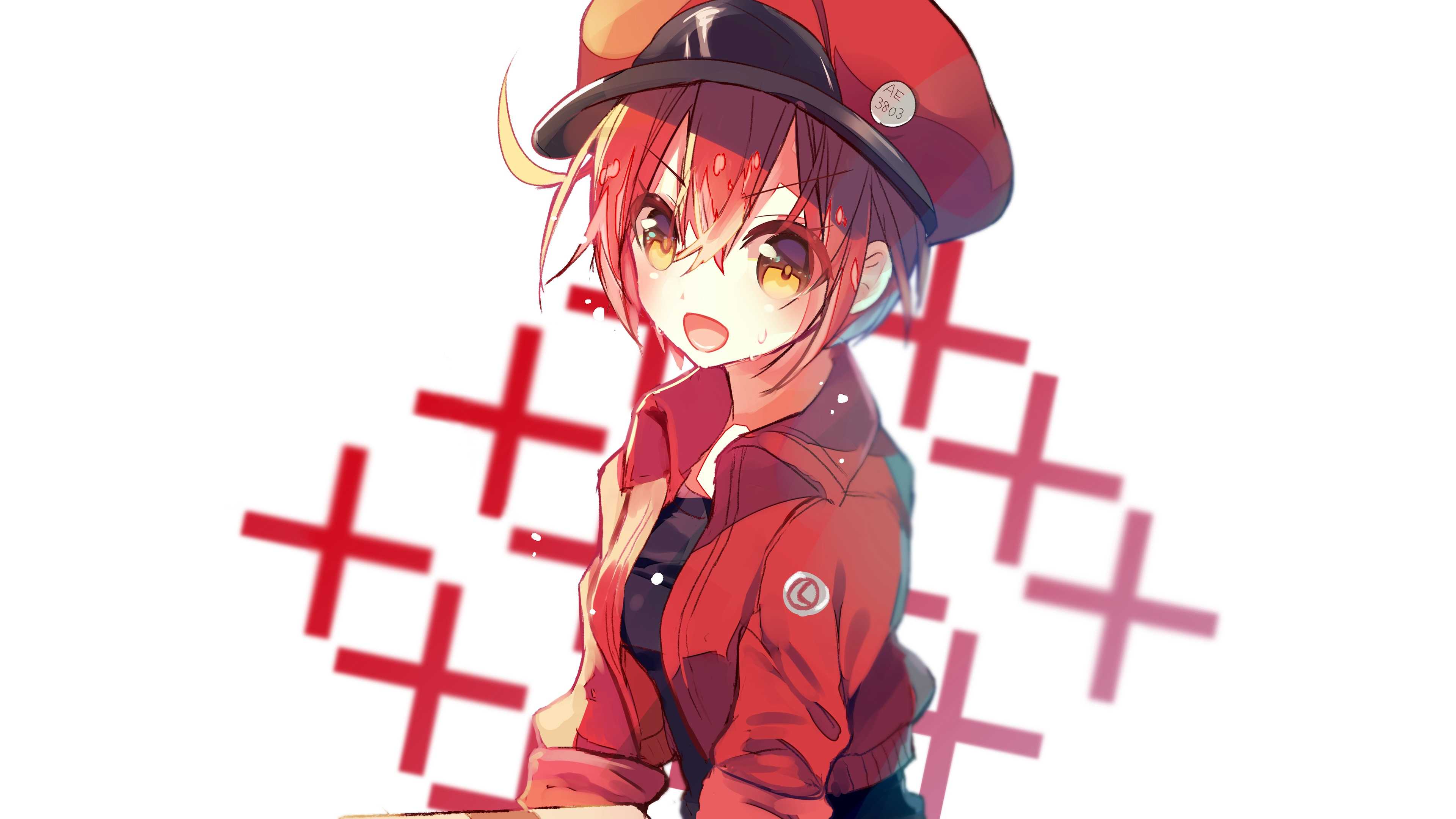 3840x2160 4K Red Blood Cell Wallpaper Free HD Wallpaper
