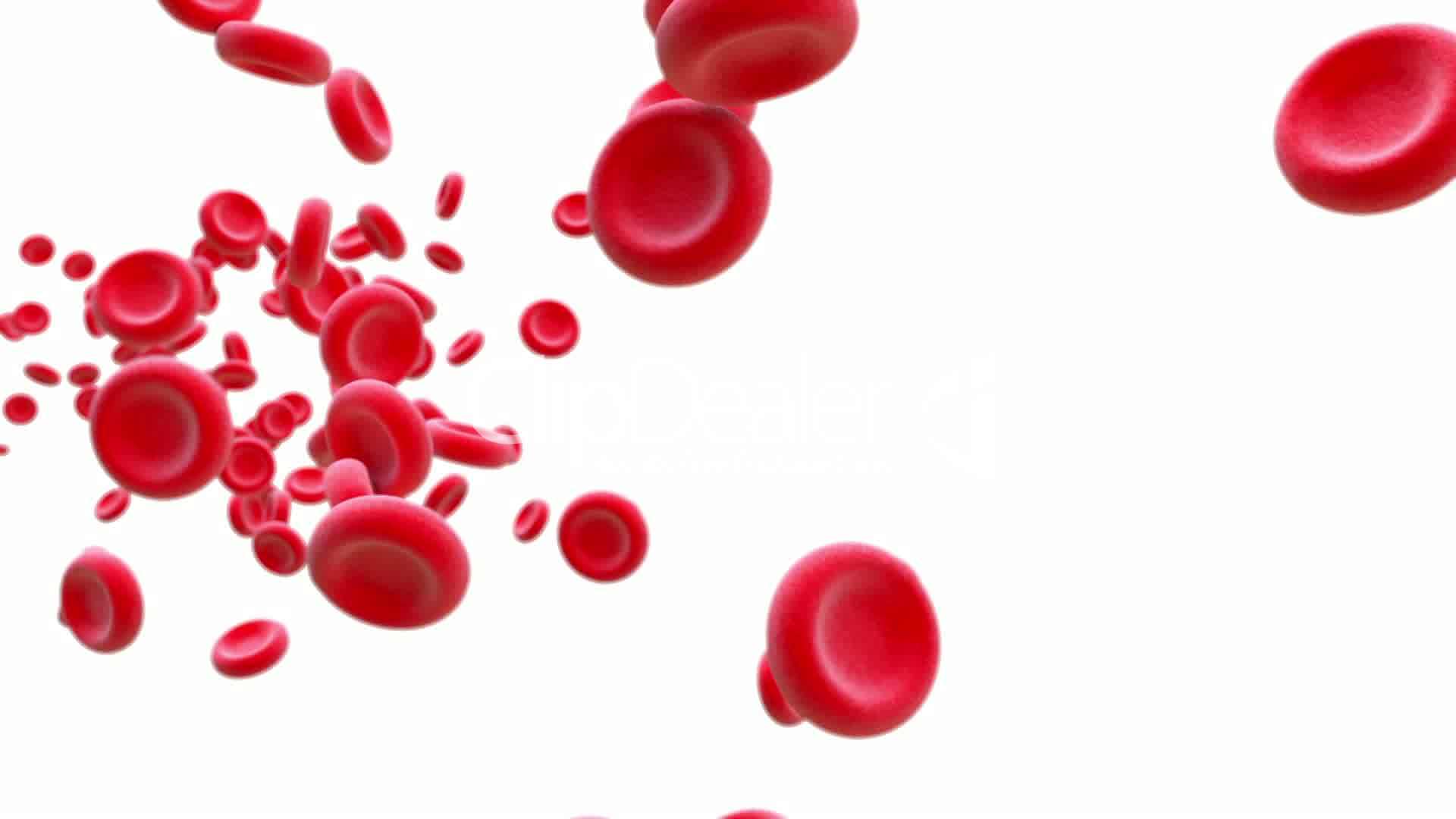 1920x1080 Red Blood Cells Blood Wallpaper 4k
