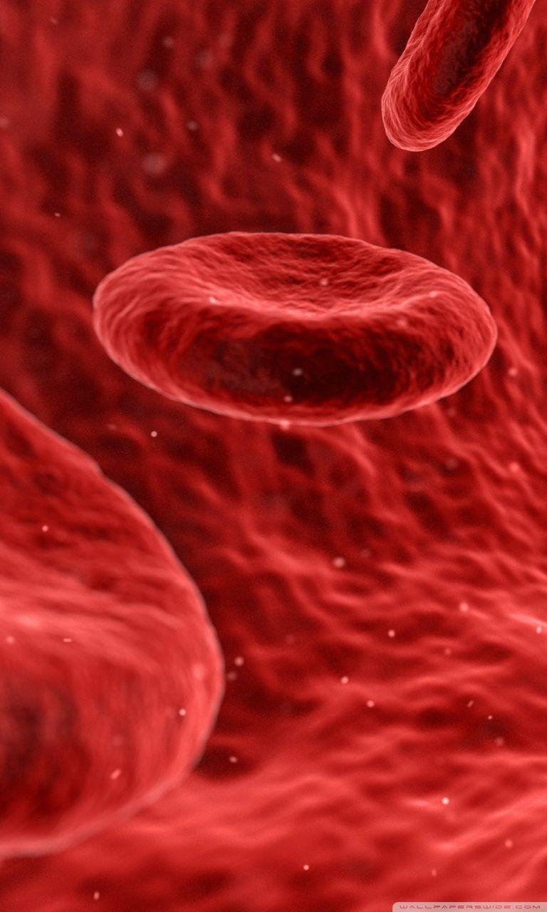 768x1280 Red Blood Cells Microscope Ultra HD Desktop Background Wallpaper for 4K UHD TV : Widescreen & UltraWide Desktop & Laptop : Multi Display, Dual Monitor : Tablet