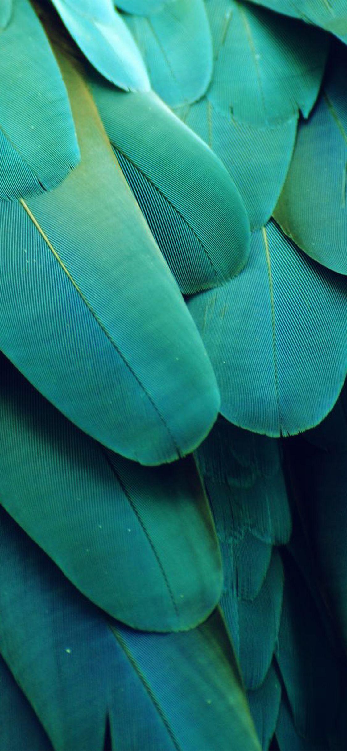 1125x2436 Texture iPhone SE (2020) Wallpaper
