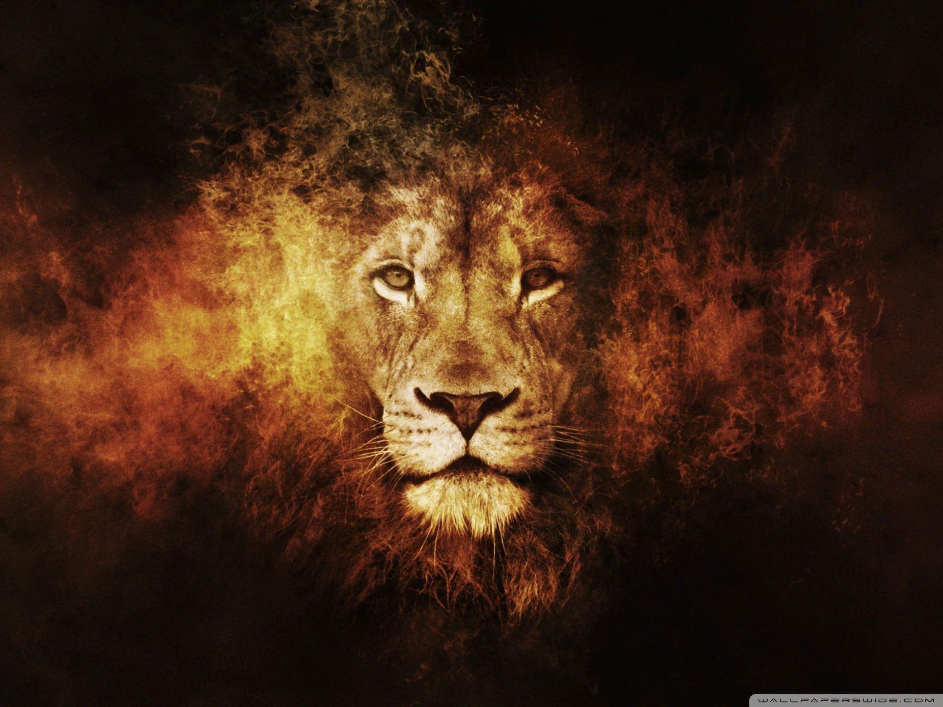 1920x1440 Lion digital wallpaper, animals, texture, digital art, big cats • Wallpaper For You HD Wallpaper For Desktop & Mobile