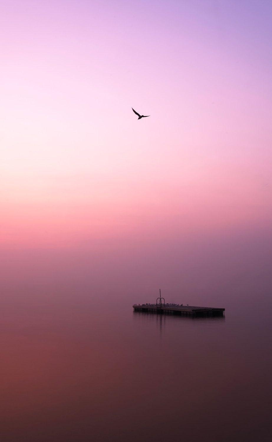 923x1500 Amazing Mobile Wallpaper Ideas