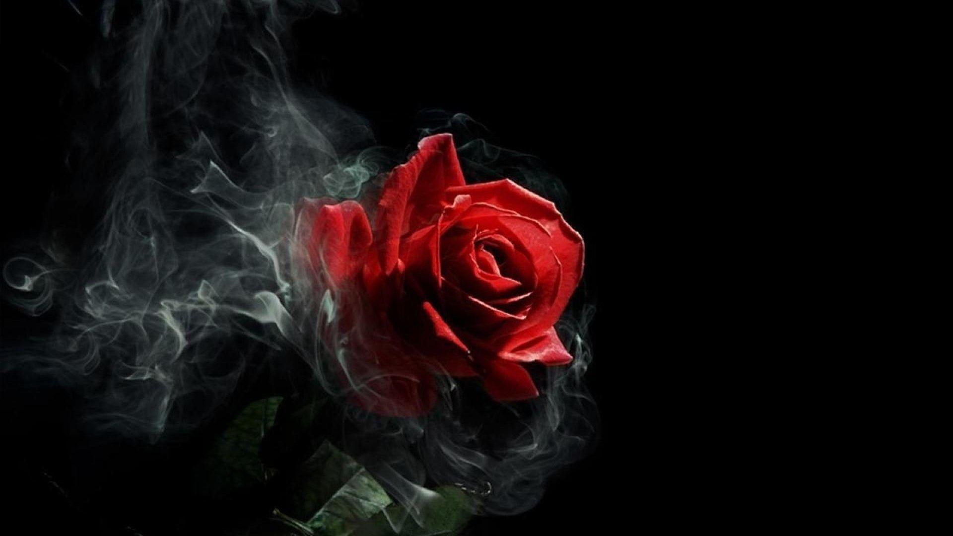 1920x1080 Gothic Rose Wallpaper