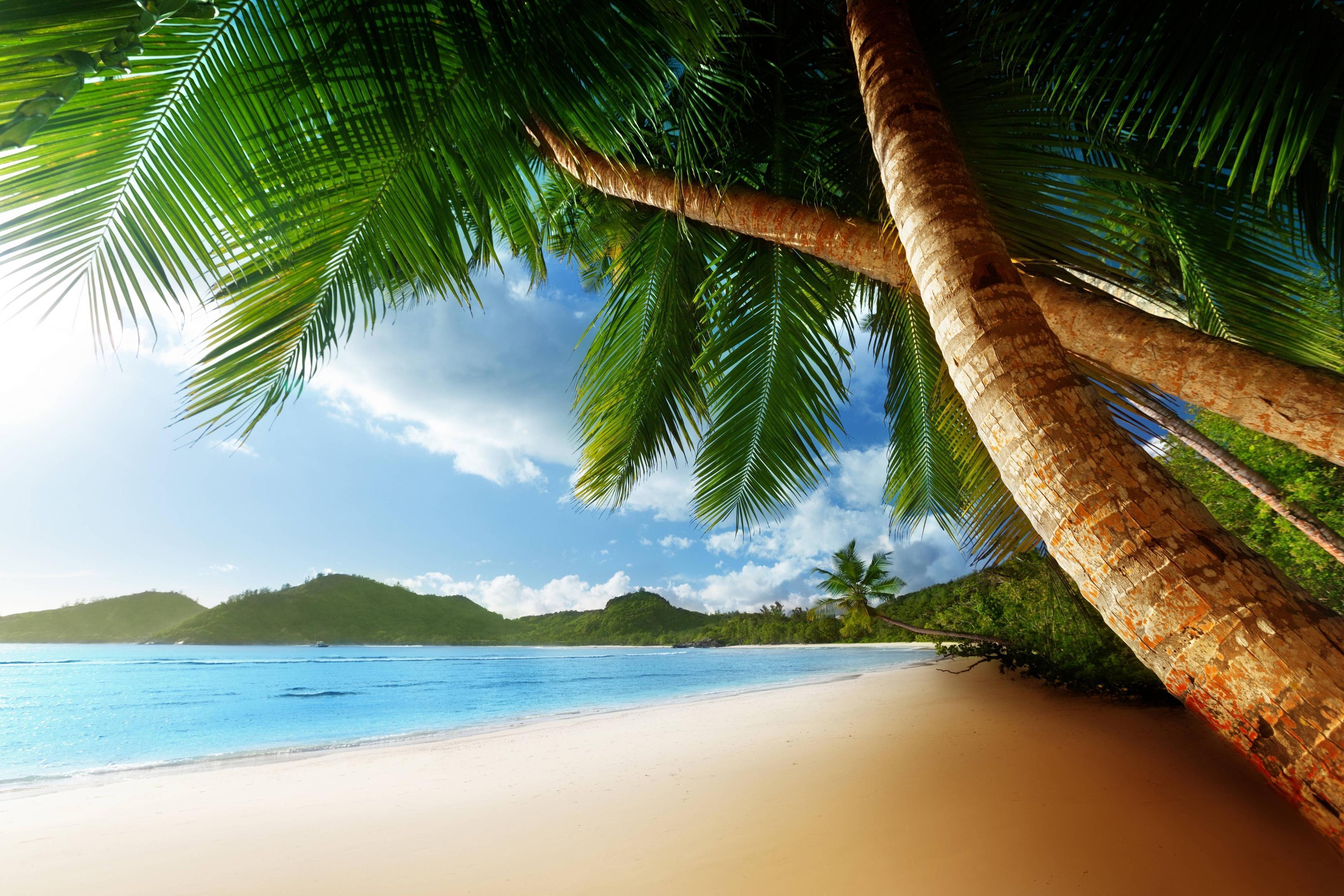 3500x2334 Free Caribbean Beach Wallpaper