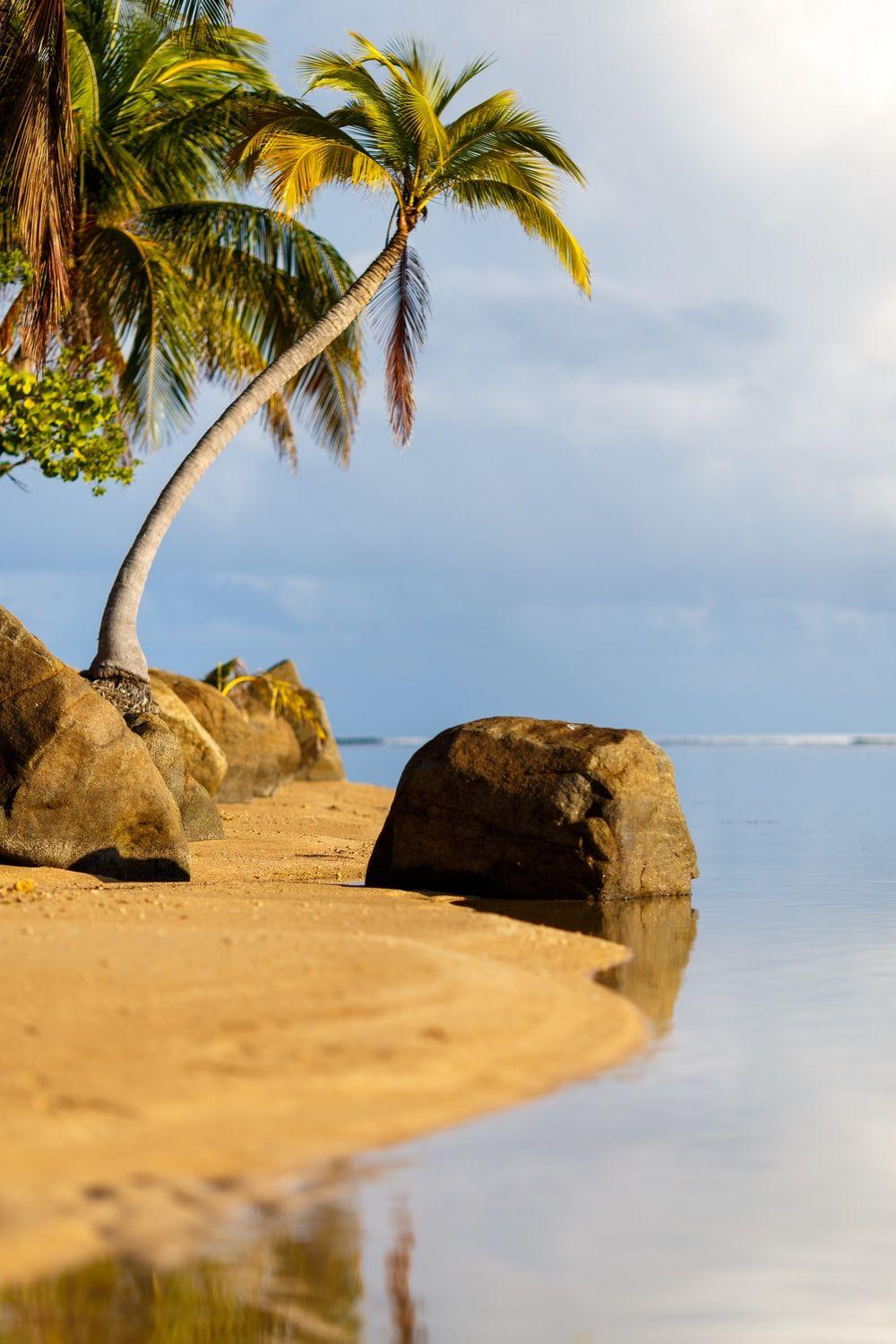 1000x1500 Best Caribbean Picture [HD]. Download Free Image