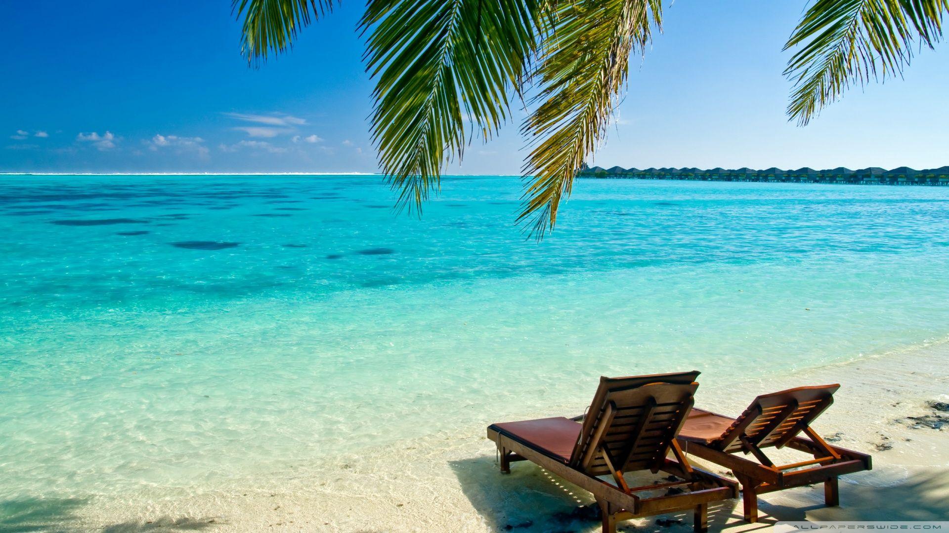 1920x1080 hd wallpaper 1080p widescreen, tropics, vacation, caribbean, palm tree, turquoise, ocean, sea, tree, beach, shore