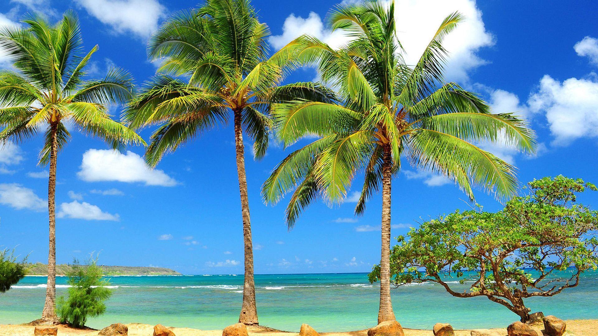 1920x1080 Caribbean Wallpaper