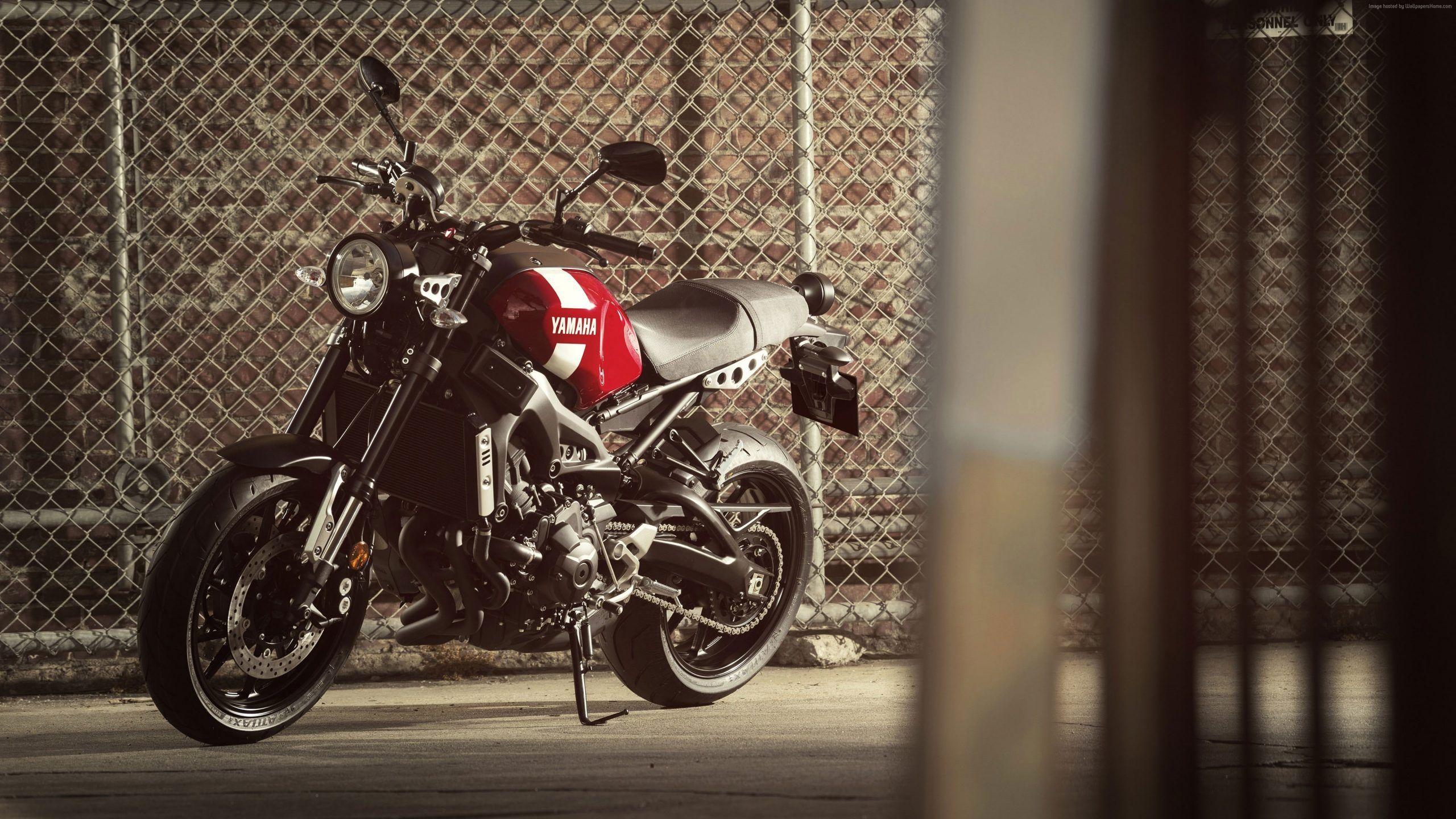 2560x1440 Yamaha XSR900 wallpaper, 2018 Bikes, 4K • Wallpaper For You HD Wallpaper For Desktop & Mobile