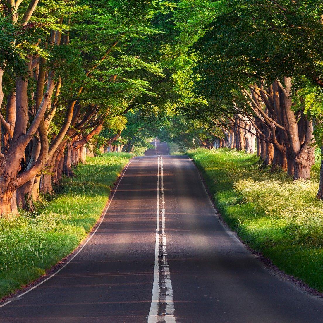 Hilly Road Wallpapers Top Free Hilly Road Backgrounds WallpaperAccess