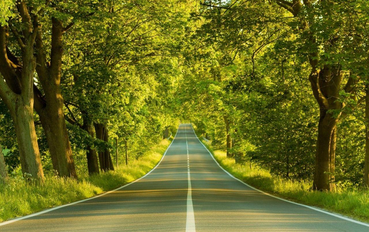 Hilly Road Wallpapers - Top Free Hilly Road Backgrounds - WallpaperAccess