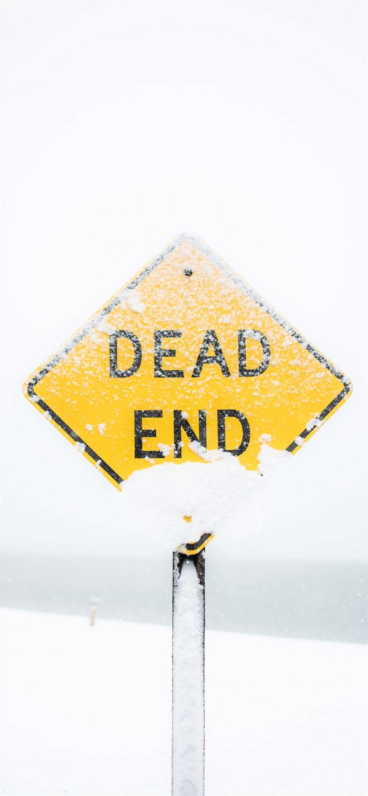 1170x2532 focus photography of dead end road sign covered wi. iPhone 12 Wallpaper Free Download