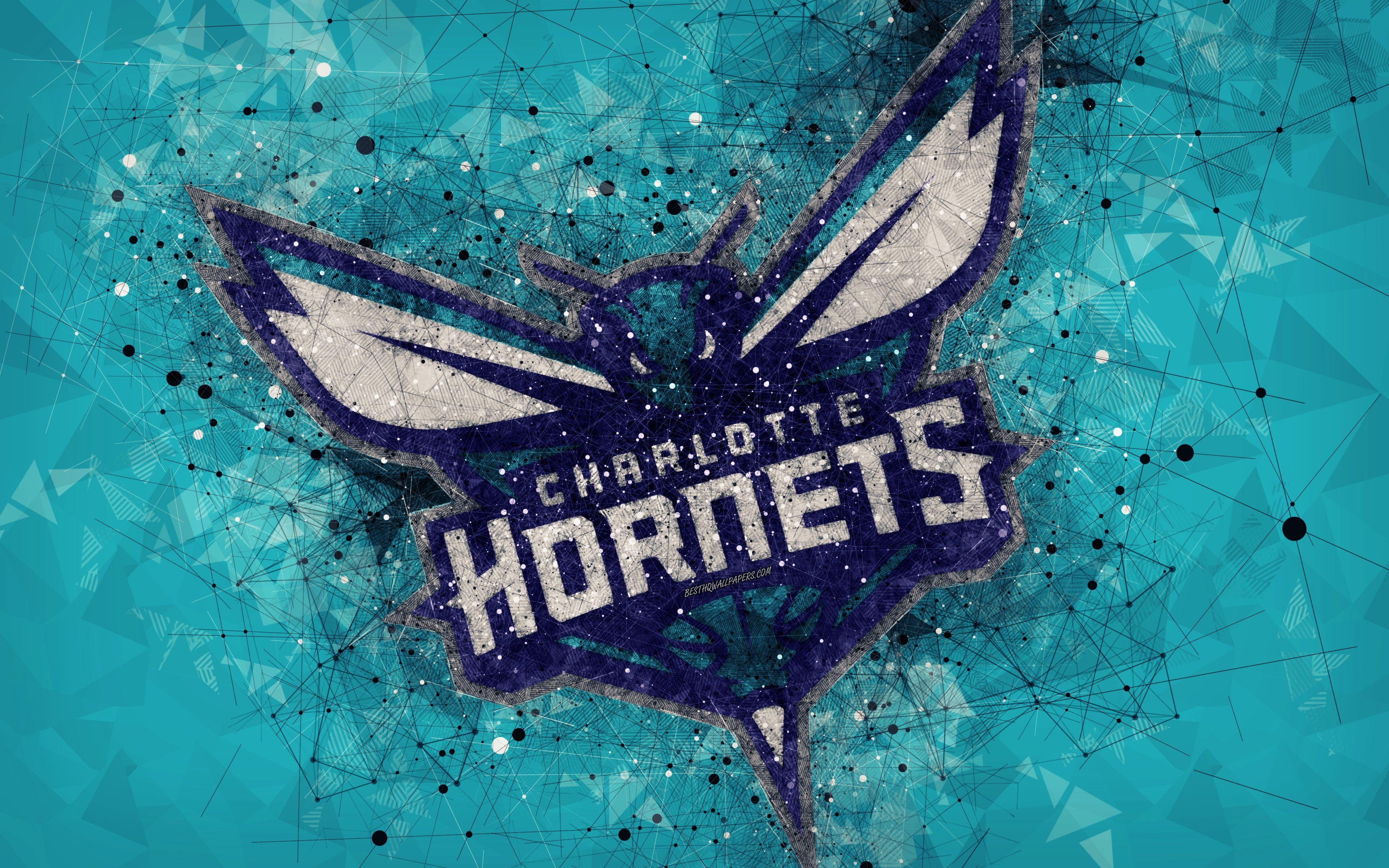 Charlotte Hornets New Logo