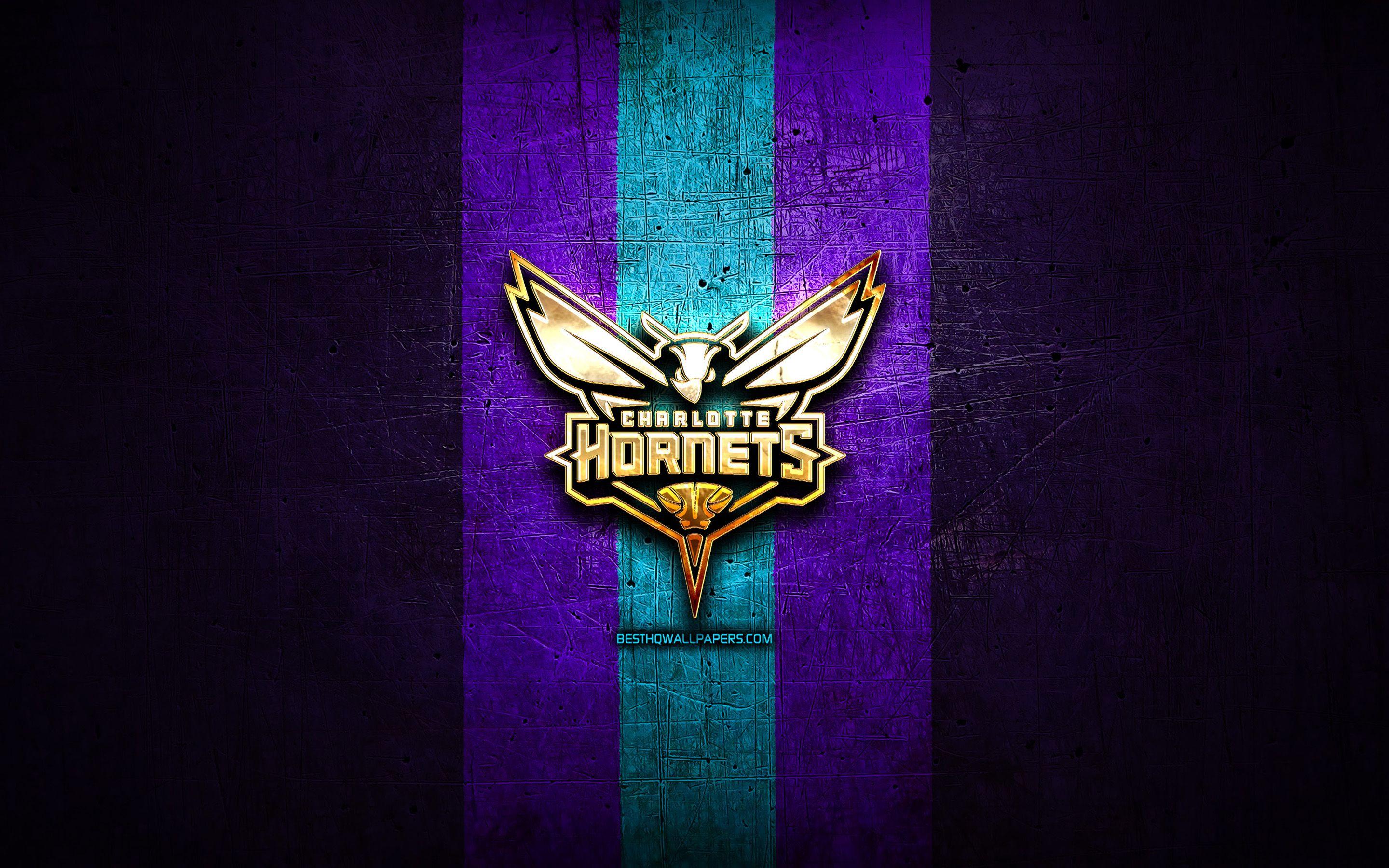 Hornet nba. Charlotte Hornets. Лого Хорнетс. Charlotte Hornets лого. Hornets NBA.