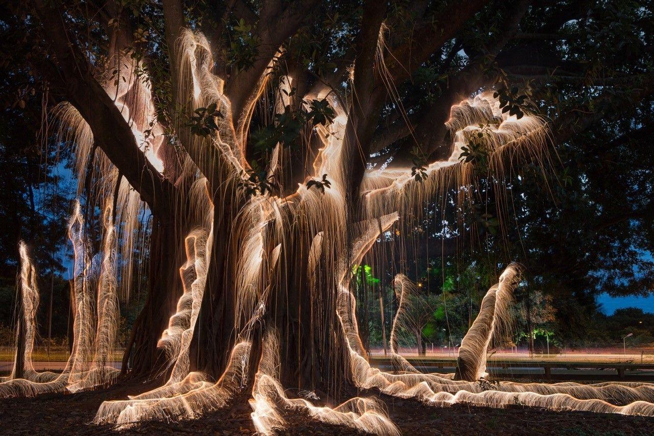1280x854 nature, Trees, Long Exposure, Branch, Roots, Light Painting, Leaves, Artwork, Photography, Park, Evening, Fire Wallpaper HD / Desktop and Mobile Background