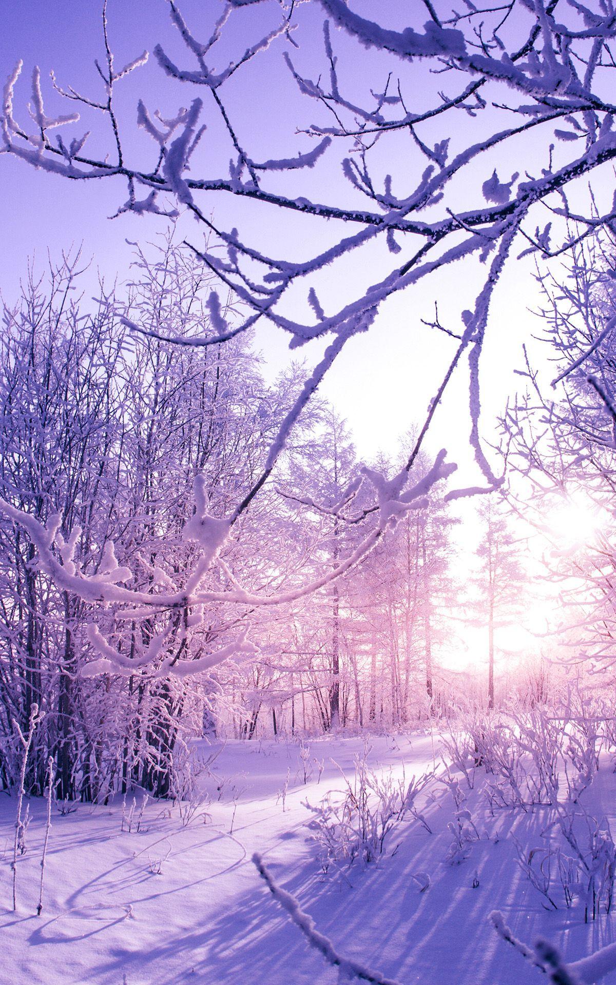 1200x1920 Huawei MediaPad M2 10.1 Wallpaper