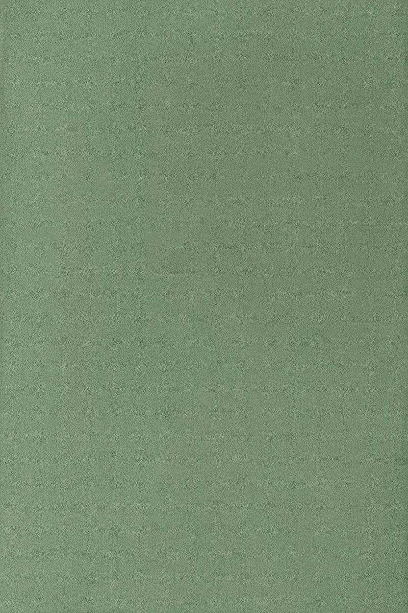 800x1200 Olive green wall background. free image / busbus. Olive green wallpaper, iPhone wallpaper green, Green aesthetic