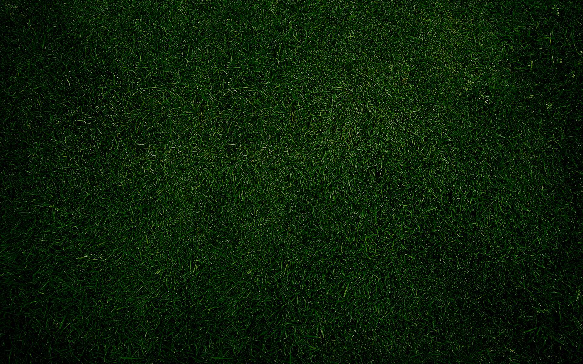 1920x1200 Plain Desktop Background