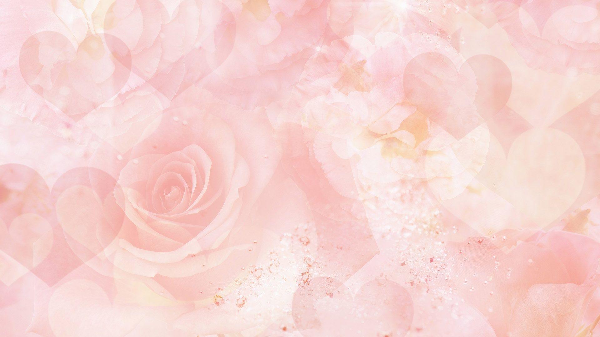 Pastel Flower Laptop Wallpapers Top Free Pastel Flower Laptop Backgrounds Wallpaperaccess
