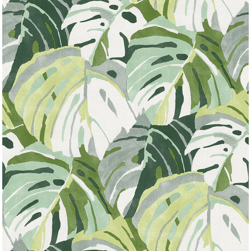 1000x1000 A Street Prints Samara Green Monstera Leaf Paper Strippable Roll (Covers 56.4 Sq. Ft.) 2969 26006 Home Depot