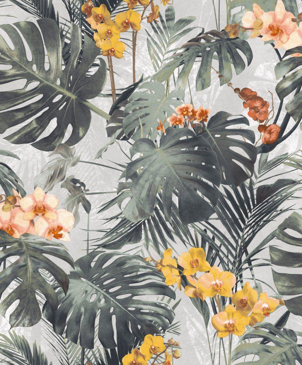 1000x1207 Dark Green Monstera Leaf Wallpaper