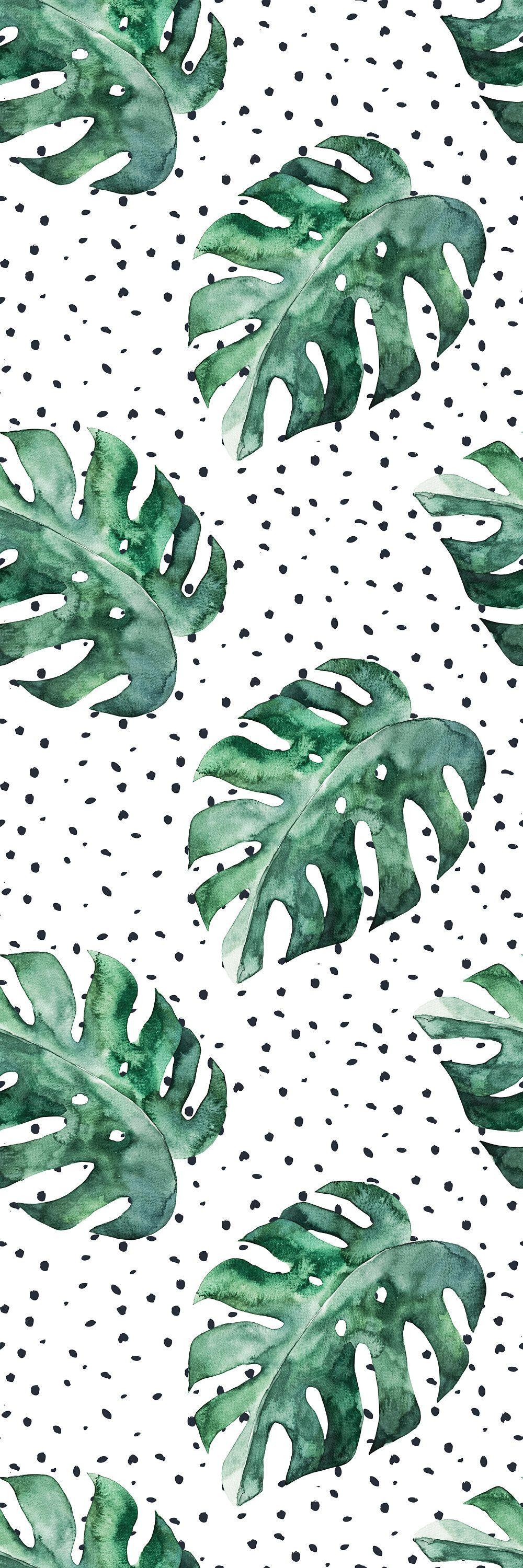 1000x3000 Monstera Wallpaper You'll Love in 2021