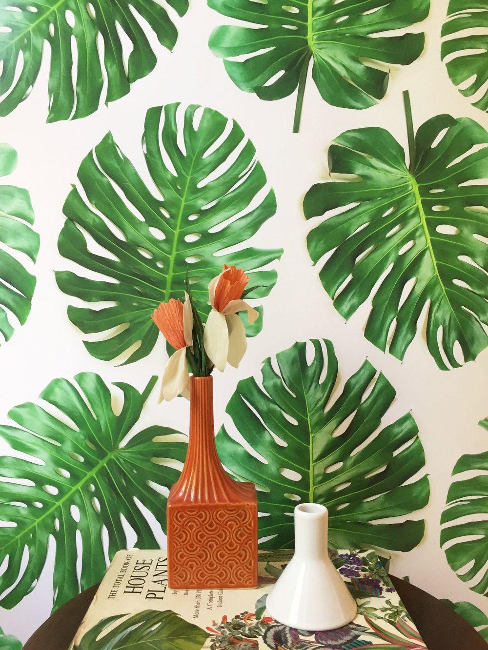 1000x1333 SALE Monstera Deliciosa Wallpaper