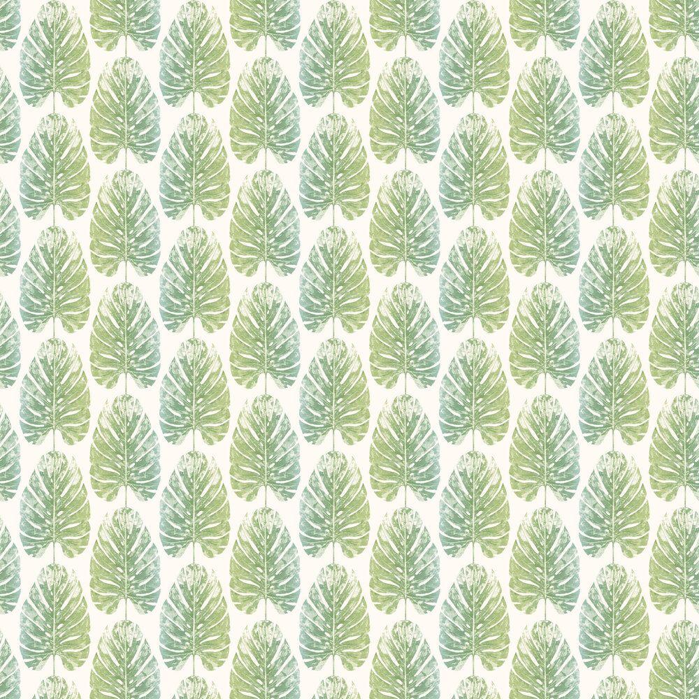1000x1000 Monstera Leaves by Galerie Green : Wallpaper Direct