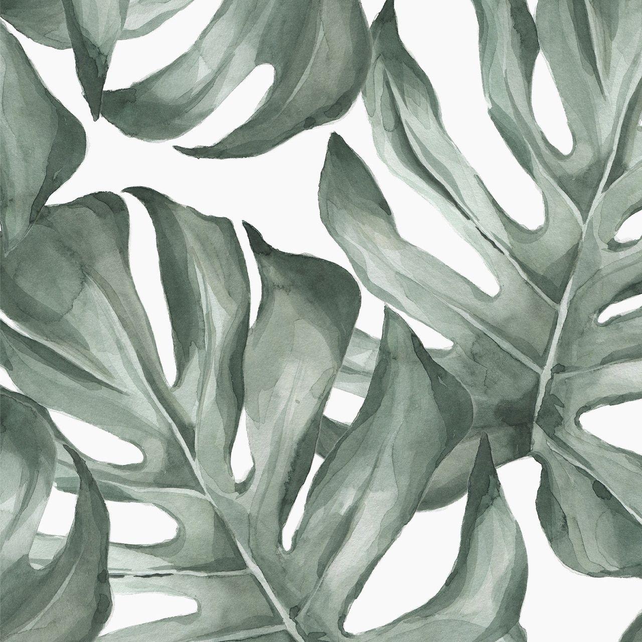 1280x1280 Tropical Monstera Leaves