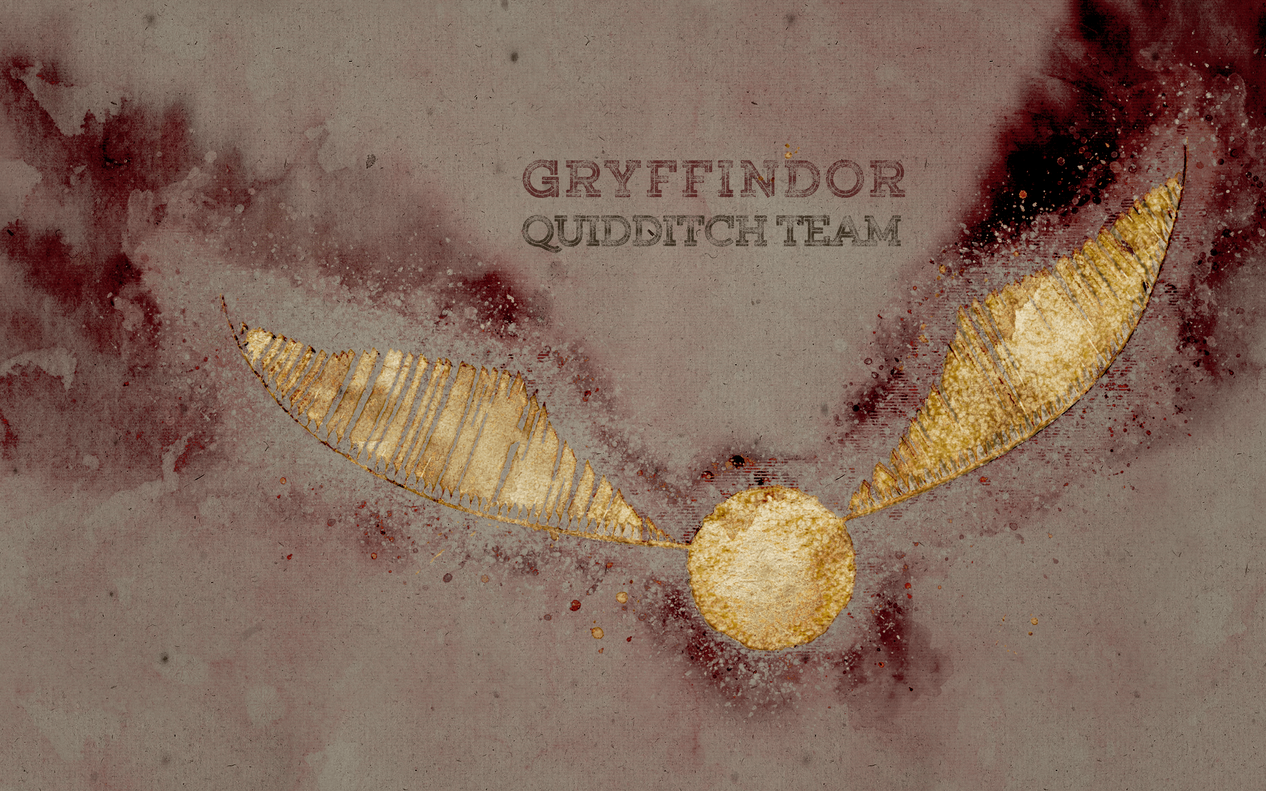 2560x1600 Gryffindor Quidditch Team Potter World. Harry potter wallpaper, Harry potter pin, Harry potter gryffindor