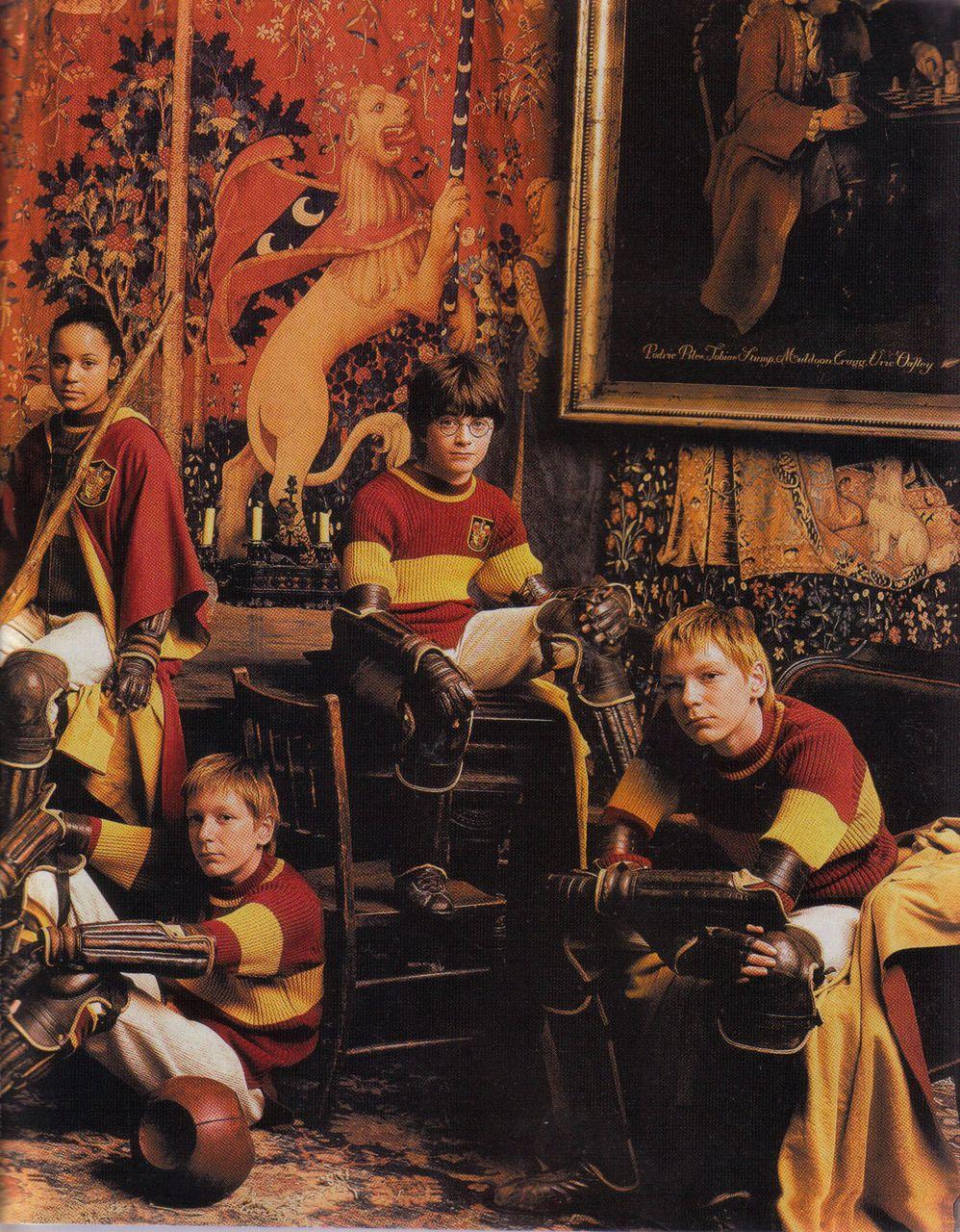 998x1280 Gryffindor Quidditch Team Fan Art