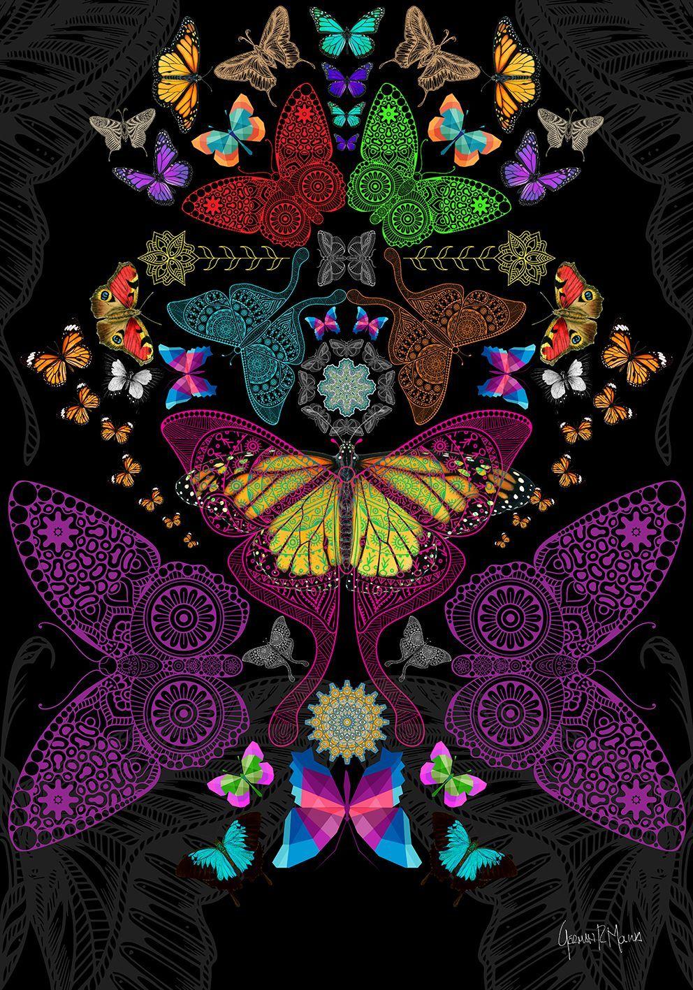 Psychedelic Butterfly Wallpapers - Top Free Psychedelic Butterfly