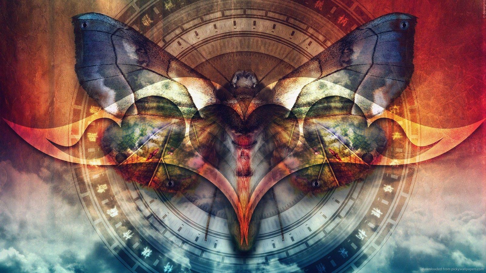 Psychedelic Butterfly Wallpapers - Top Free Psychedelic Butterfly