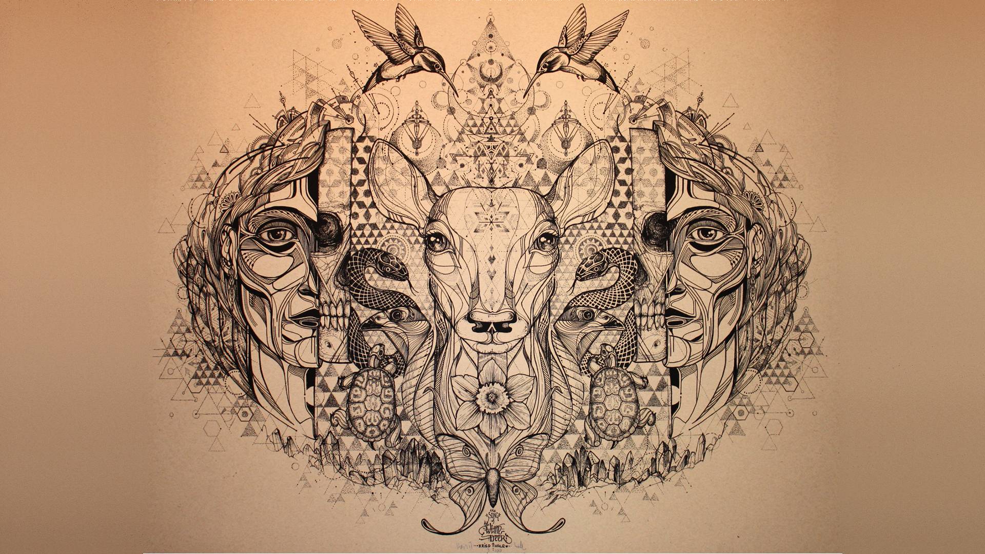 1920x1080 Deer Hummingbird Abstract Snake Butterfly fantasy art psychedelic wallpaperx1080