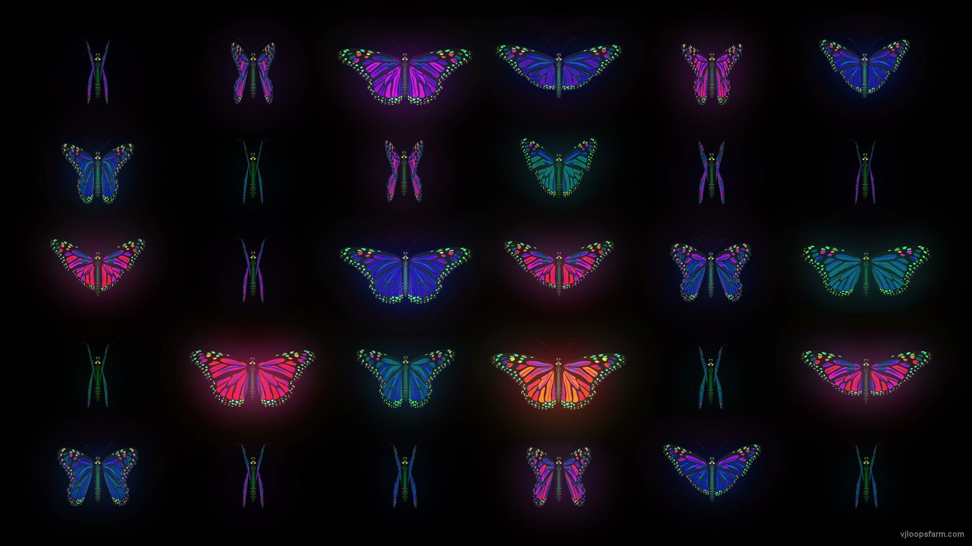 Psychedelic Butterfly Wallpapers - Top Free Psychedelic Butterfly